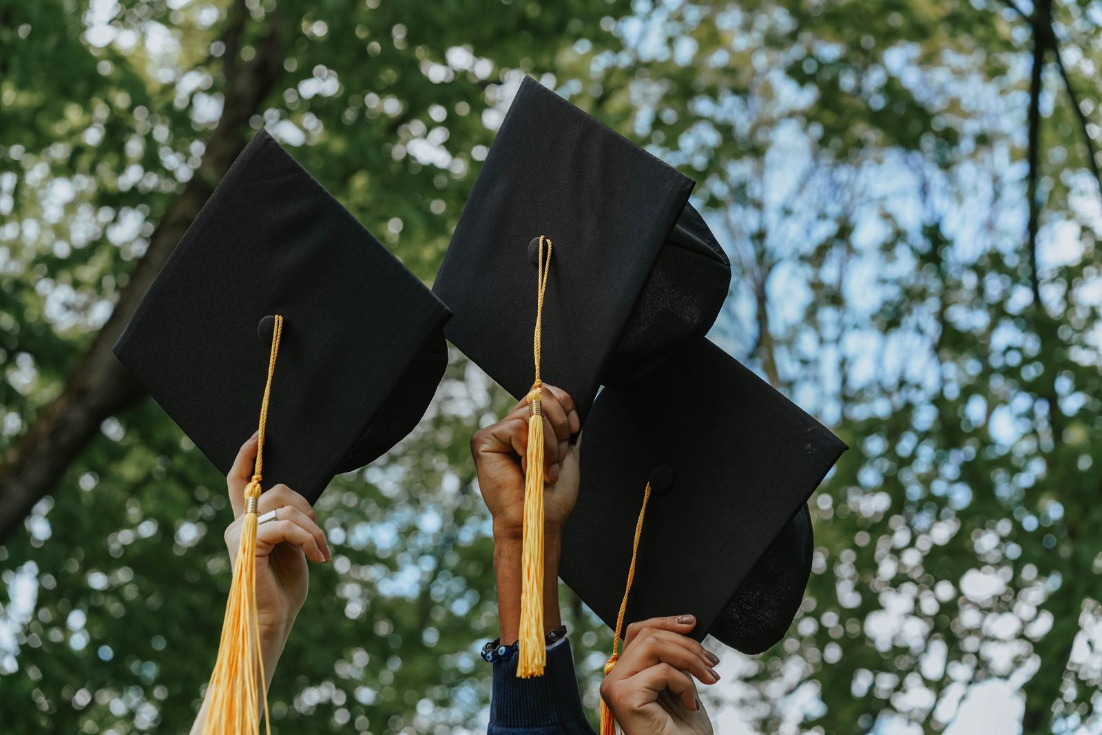Graduation caps held up in celebration