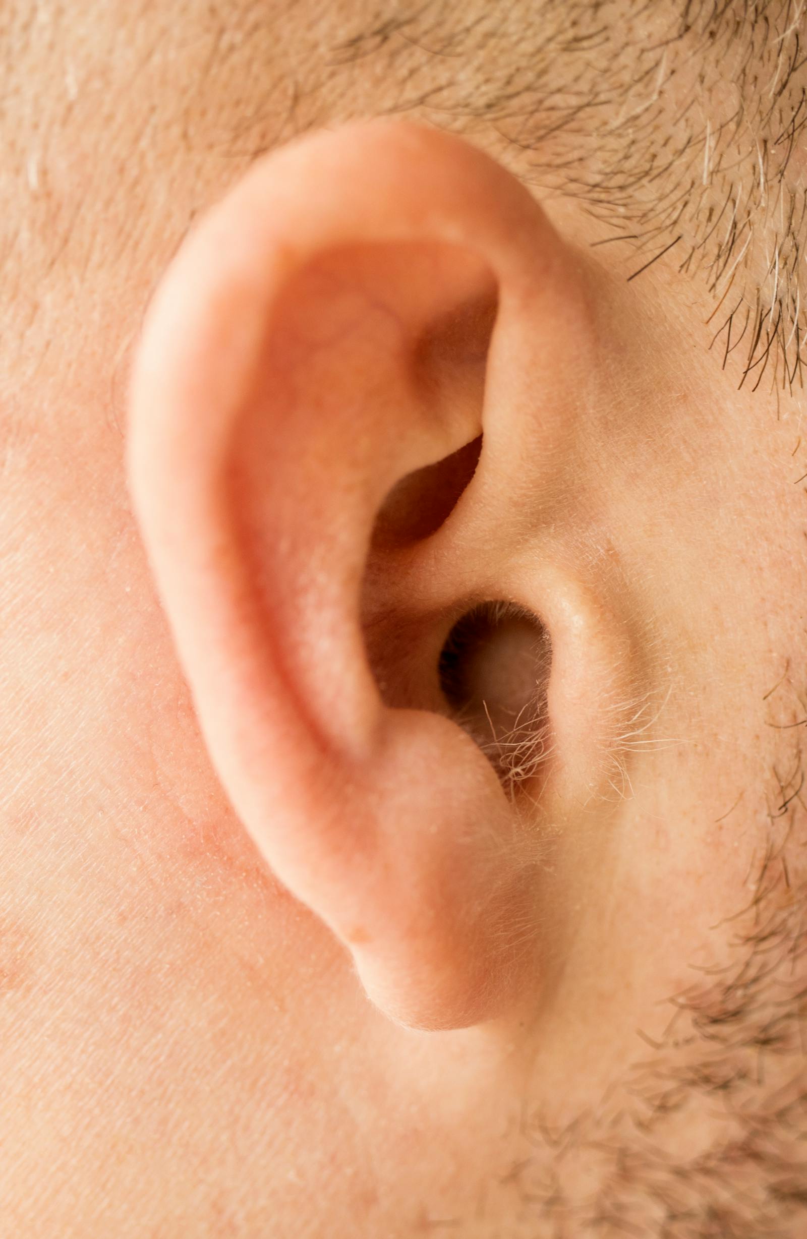 Close-up of a human ear