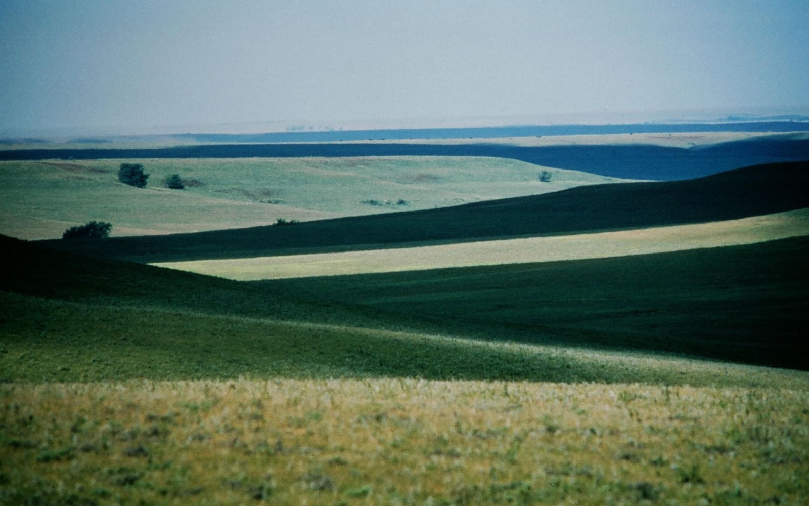 Rolling tallgrass prairie hills stretching to the horizon in the Flint Hills of Kansas