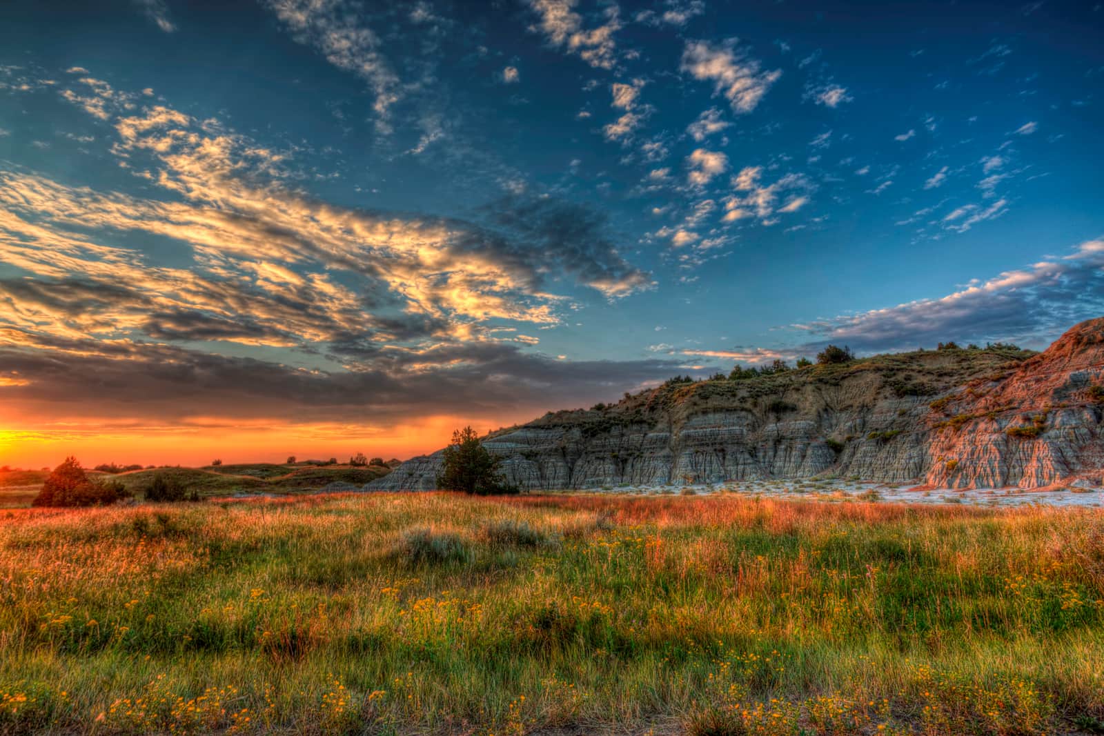 Sunset light on badlands buttes and prairie wildflowers in Theodore Roosevelt National Park, North Dakota