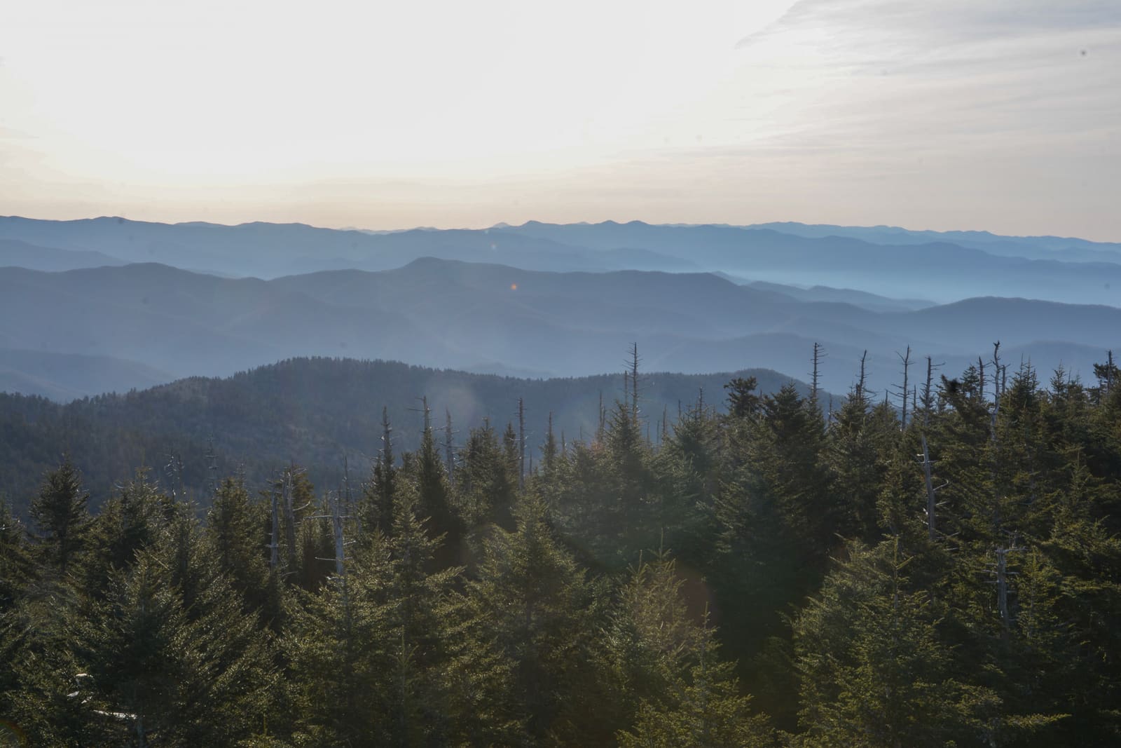 Misty blue ridges of the Great Smoky Mountains stretching to the horizon, seen from Clingmans Dome