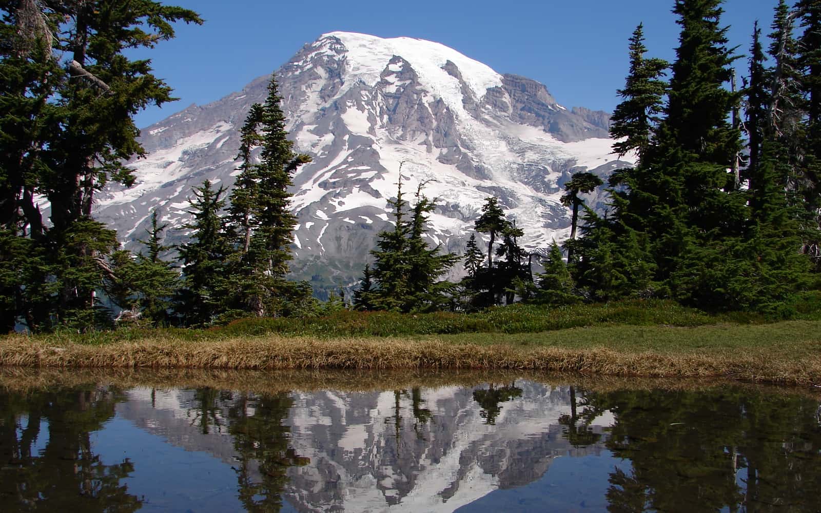 Snow-capped Mount Rainier reflected in a small alpine lake in the Tatoosh Range, Washington